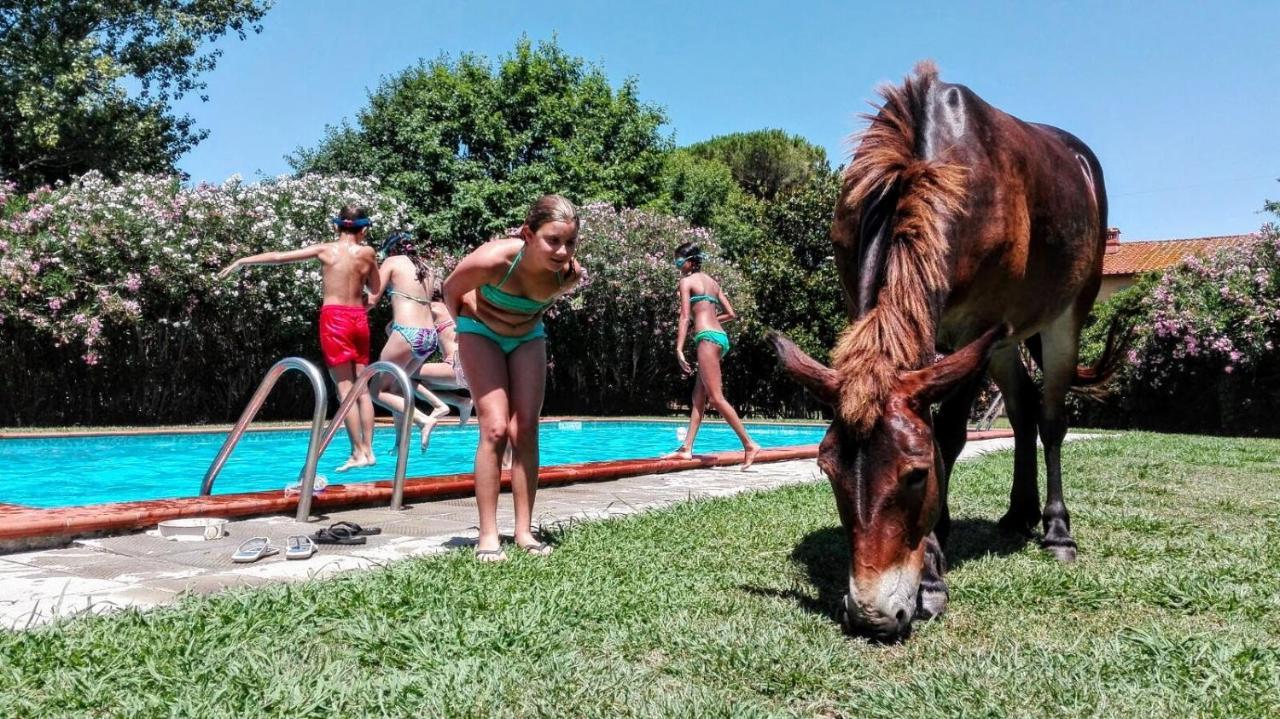 Agriturismo Il Bottaccino Monsummano Terme Exteriér fotografie