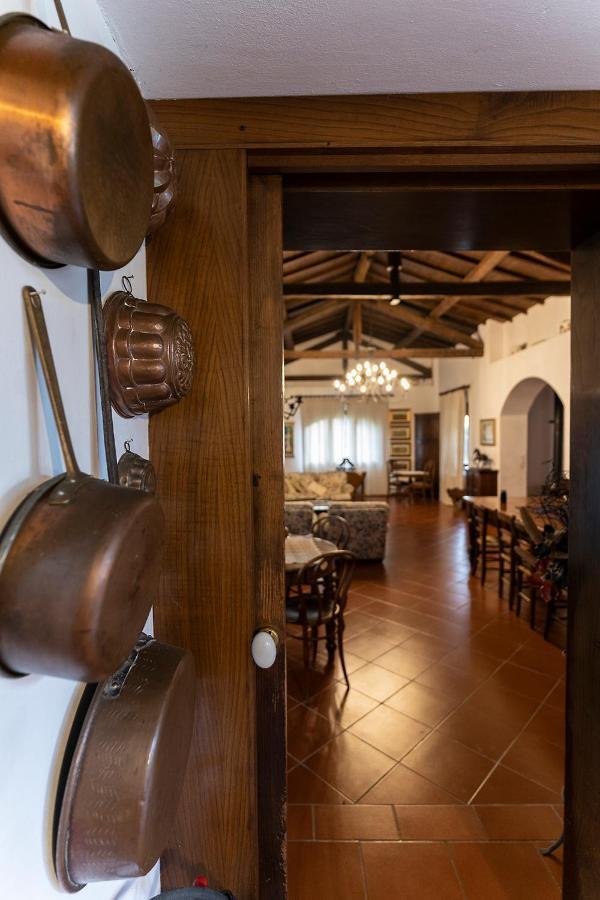 Agriturismo Il Bottaccino Monsummano Terme Exteriér fotografie